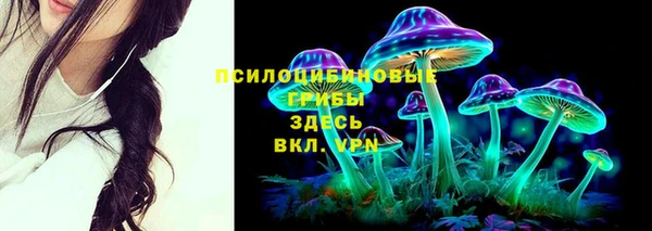 спайс Арсеньев