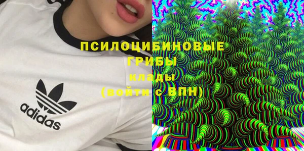 a pvp Тобольск